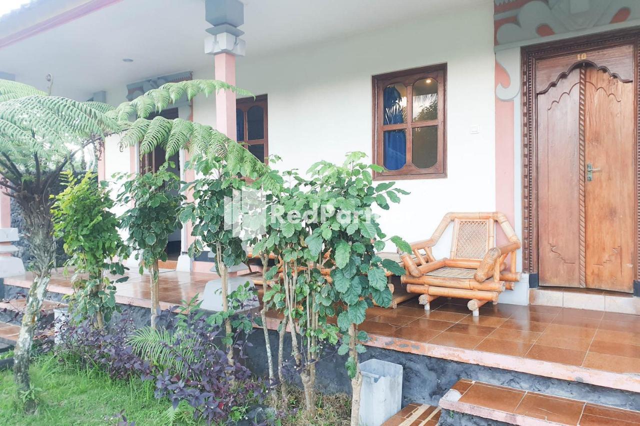 Arlina'S Guest House Kintamani Redpartner エクステリア 写真