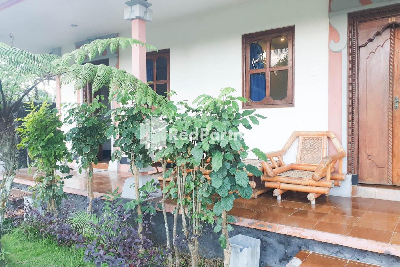 Arlina'S Guest House Kintamani Redpartner エクステリア 写真